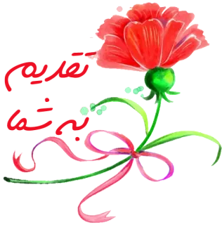 🌹 flower, red, ribbon, floral, plant, nature telegram sticker
