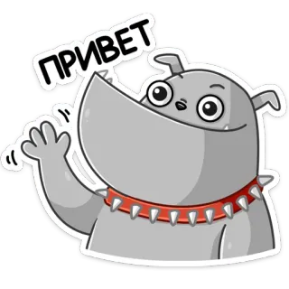 👋 ПРИВЕТ chien, salutation, bonjour, russe, dessin animé whatsapp sticker