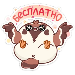 🥳 бесплатно pássaro, fofo, kawaii, animal, grátis, grátis telegram sticker
