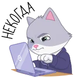 👨‍💻