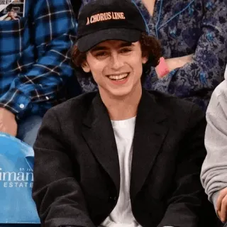 📯 A Chorus Line A CHORUS LINE Timothée Chalamet, A Chorus Line, célébrité, acteur, fan, film telegram sticker