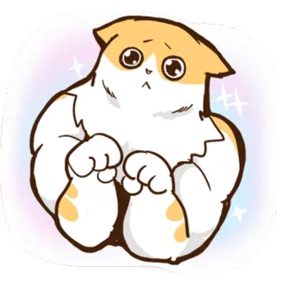 😢 gatto, carino, animale, animale domestico, adesivo whatsapp sticker