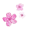 🌸