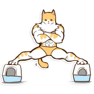 💪 gatto, sollevamento pesi, palestra, muscoloso, divertente, umorismo, cartone animato whatsapp sticker