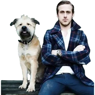 🐶 Ryan Gosling hond, portret, acteur, man, stijl, buiten, huisdier whatsapp sticker
