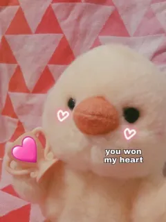 🐥 you won my heart 愛, ハート, かわいい, ひよこ, 愛情, メッセージ, ポジティブ telegram sticker