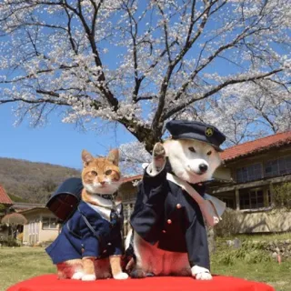 shibe telegram stickers