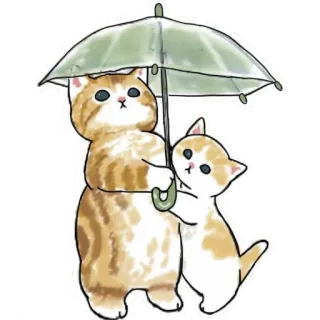 ☔ gato, gatito, paraguas, lindo, animal, lluvia, mascota whatsapp sticker
