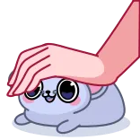 🤩 고양이, 애완동물, 동물, 귀여운, 카와이, 손 telegram sticker