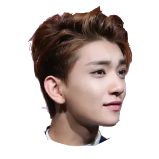 ❓ persona, uomo, viso, bello, kpop telegram sticker