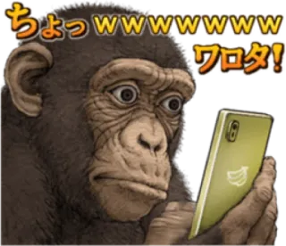🐵 ちょっwwwwwwww
ワロタ! monyet, kera, ponsel pintar, lol, tertawa, hewan telegram sticker