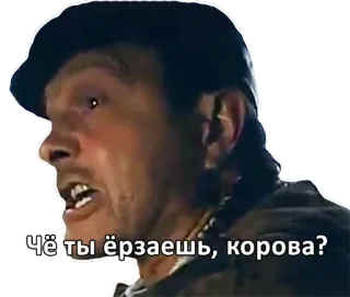 😡 Чё ты ёрзаешь, корова? telegram sticker