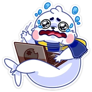 😳 phoque, pleurs, ordinateur, écharpe, triste, frustré whatsapp sticker