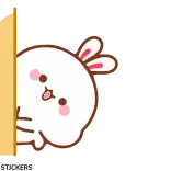 😌 kelinci, imut, mengintip, kawaii, hewan, stiker whatsapp sticker