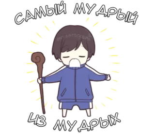 Сора кун @nyasticks telegram stickers