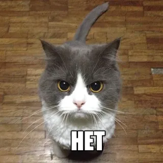 Котеечные дела telegram stickers