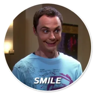 😂 Sheldon Cooper The Big Bang Theory SMILE sonrisa, the big bang theory, sheldon cooper, serie de tv, comedia, sitcom whatsapp sticker
