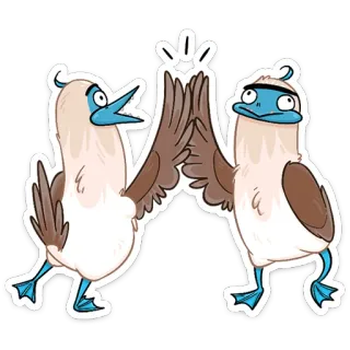 👋 птицы, дай пять, животные, мультфильм, голубоногая олуша, дружба telegram sticker