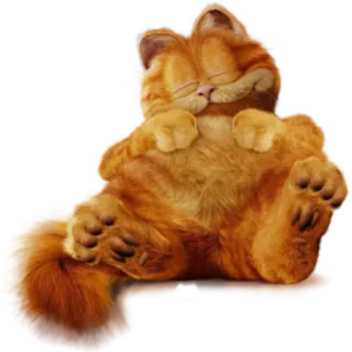 😴 Garfield Garfield, chat, dessin animé, paresseux, chat orange, animal, bande dessinée whatsapp sticker