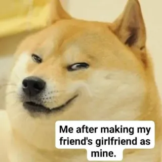 😂 Doge Doge Meme Me after making my friend's girlfriend as mine. doge, meme, funny, shiba inu, smug, relatable telegram sticker