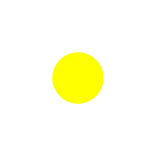 🟡