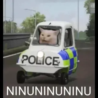 🤍 Smudge the Cat Woman Yelling at a Cat POLICE NINUNINUNINU cat, meme, police, peel p50, funny, siren, car, smudge telegram sticker