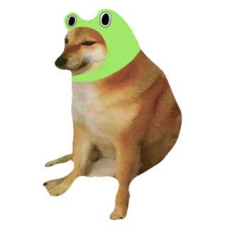 🐸 doge, หมา, มีม, กบ, สัตว์ whatsapp sticker