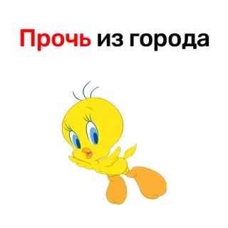 😝 Tweety Bird Looney Tunes Прочь из города ทวิตตี้, ลูนีย์ตูนส์, ตัวการ์ตูน, ข้อความรัสเซีย, สติกเกอร์ telegram sticker