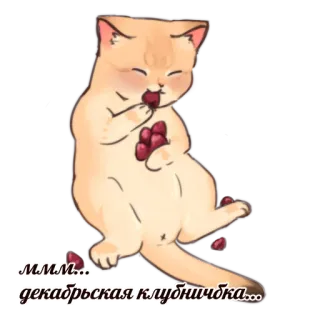 ❄️ ммм... декабрьская клубничка... แมว, สตรอว์เบอร์รี, สัตว์, น่ารัก telegram sticker