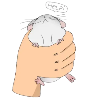 😭 HELP! rata, ayuda, animal, mano, lindo telegram sticker