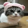 💂