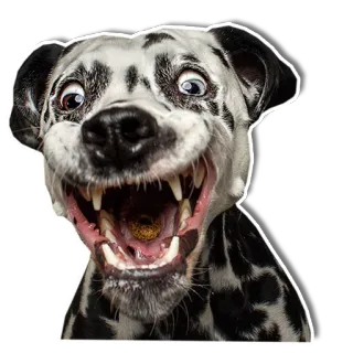 Упоротый пёс telegram stickers