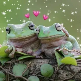 ❤️ kikkers, amfibieën, liefde, hart, schattig, dieren, natuur telegram sticker