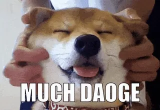 🥹 MUCH DAO GE doge, mem, pies, shiba inu, much, dao ge telegram sticker