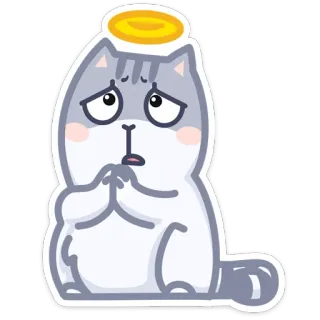 😇 gato, anjo, auréola, fofo, adesivo whatsapp sticker