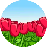 💐