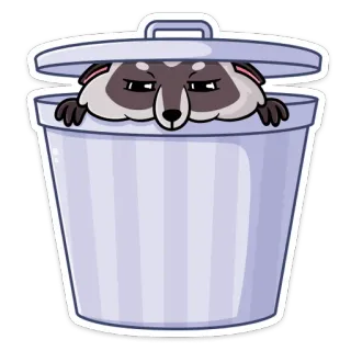 ☺️ rakun, tempat sampah, sampah, stiker, hewan, kartun, tempat sampah telegram sticker