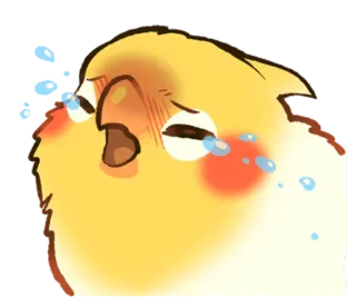 😭 calopsitte, oiseau, pleure, triste, larmes, mignon, émotionnel whatsapp sticker