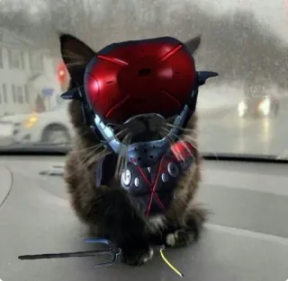 ❤️ gatto, casco, armatura, animale domestico, animale, veicolo, cyberpunk telegram sticker