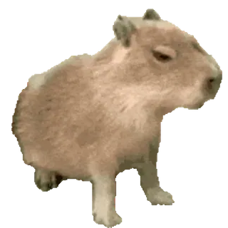 🦫 capybara, animal, rongeur, mignon, animal de compagnie whatsapp sticker