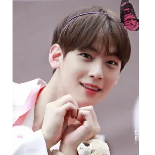 ❤️ kpop, acteur, idole, coeur, mignon, papillon whatsapp sticker