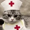 🏥