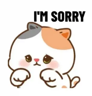 🥺 I'M SORRY gato, desculpa, pedido de desculpas, fofo, desenho animado, animais telegram sticker