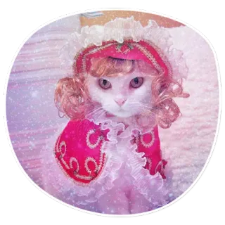 🤔 cat, cute, animal, sticker, dress, fancy telegram sticker