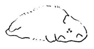 🤍 животное, кошка, спящий, мультфильм telegram sticker