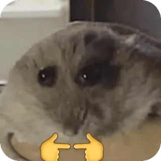 😨 sad hamster telegram sticker