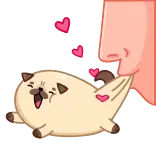 🥰 кот, любовь, смешные, сердце, милый, каваий telegram sticker