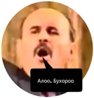 😮 Алоо. Бухооо whatsapp sticker