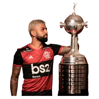 👀 Gabriel Barbosa football, football, Gabriel Barbosa, Flamengo, athlète, champion telegram sticker