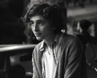 🦇 Timothée Chalamet actor, blanco y negro, retrato, celebridad telegram sticker